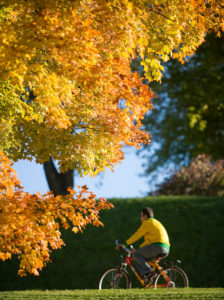 Cyclist in fall