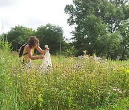 PhD student Vera Pfeiffer catches bumblebees 