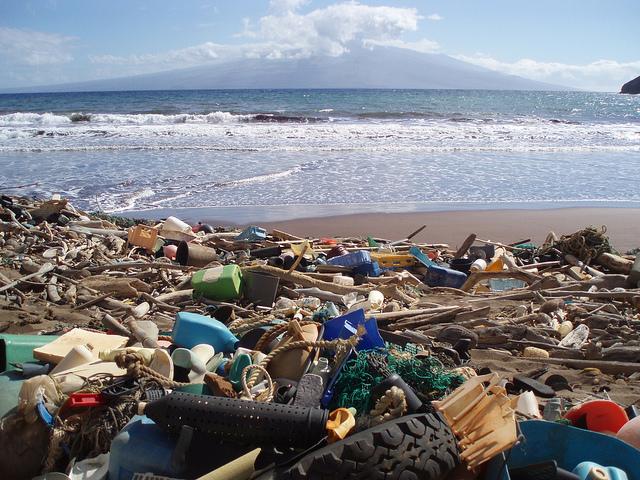 Marine debris laden beach in Hawaii