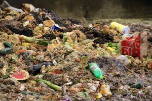 Pile of food waste illustrating contamination issues. Photo by Trina La Susa.