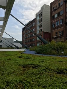 Green roof at the David L. Lawrence Convention Center in Pittsburgh, PA. Photo by Nathan Jandl.