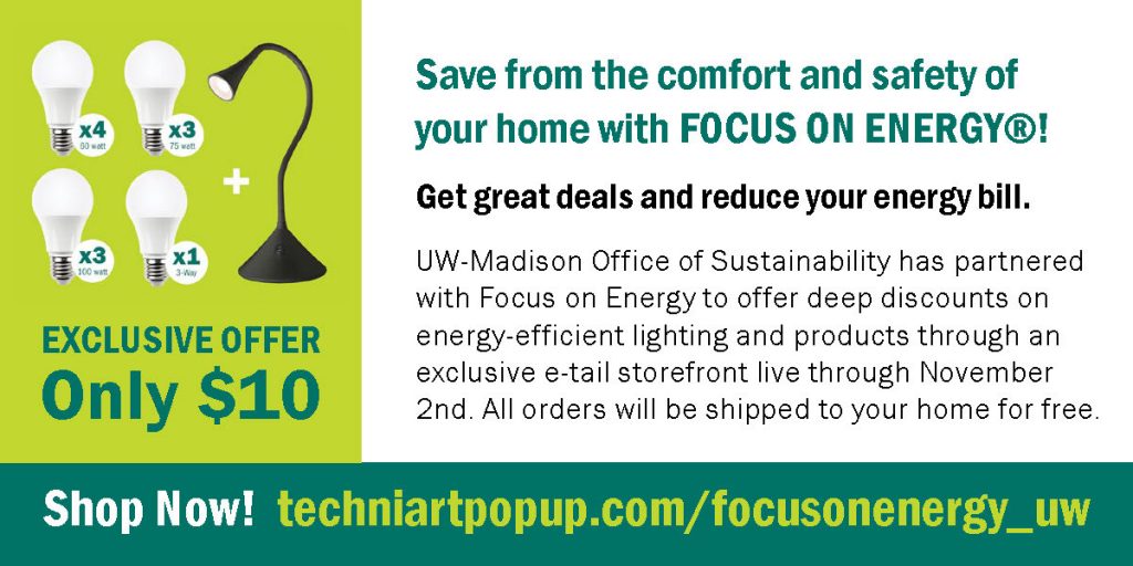 focus on energy light bulbs