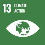 UN Climate Action Icon