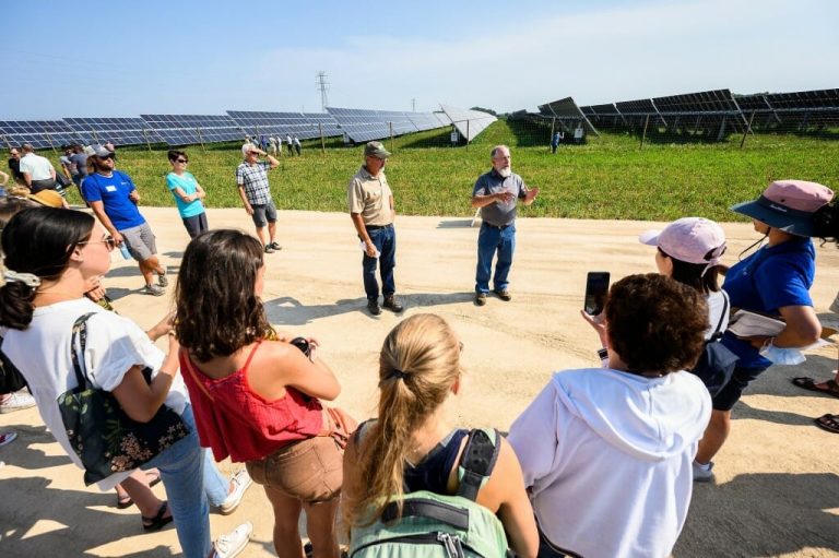 People stand in a circle on a sunny day, with a background of solar panels in a field